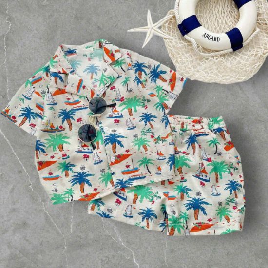 Ảnh của Set bộ cây dừa BT