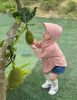 Ảnh của Áo chống nắng 2M cho bé
