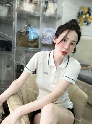 Ảnh của ÁO POLO LACOSTE THÊU CÁ SẤU