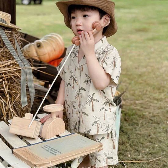 Ảnh của Set bộ cây dừa tone be