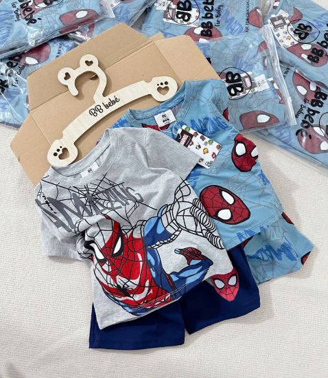 Ảnh của Set 2 bộ nhện xanh ghi