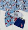 Ảnh của Set 2 bộ nhện xanh ghi
