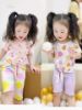 Ảnh của Set 2 bộ hình vẹt quả dâu