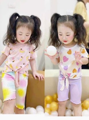 Ảnh của Set 2 bộ hình vẹt quả dâu