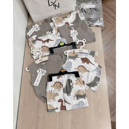 Ảnh của Set 2 bộ SN khủng long toen xám